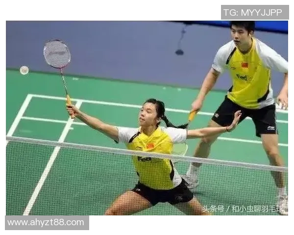 南京羽毛球队在锦标赛中的默契配合与战术分析探讨